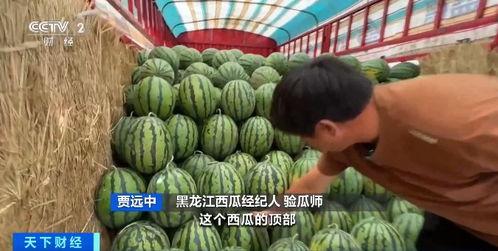 娱乐吃瓜酱爷爷花篮,揭秘娱乐圈背后的温馨故事